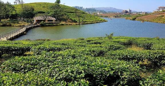 Vagamon Lake